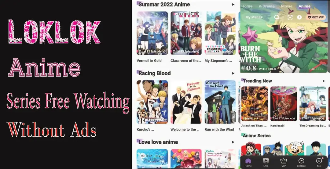 Loklok Anime 2024 Watch Free Download the latest Series